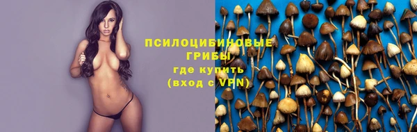 метамфетамин Белокуриха