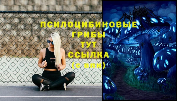 гидра Беломорск