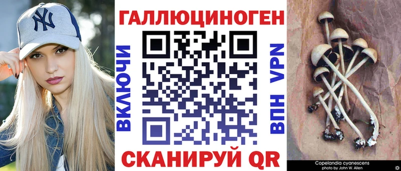 Псилоцибиновые грибы GOLDEN TEACHER  kraken как войти  Уварово  наркотики 